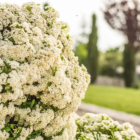 Miramurgia غرافينا إن بوليا