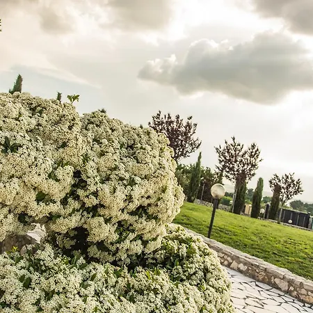 فندق مبيت وإفطار Miramurgia