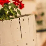 Miramurgia فندق مبيت وإفطار