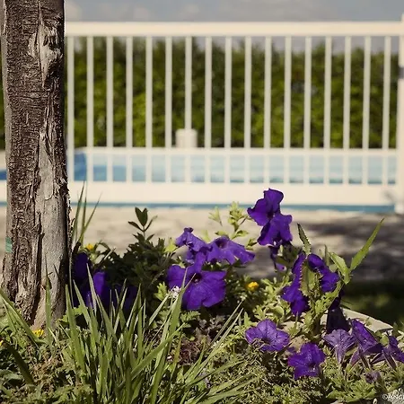 Miramurgia Bed & Breakfast