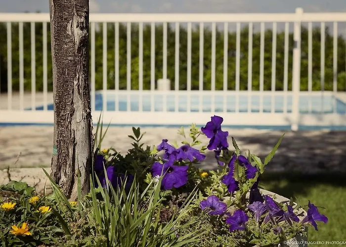 Miramurgia Bed & Breakfast