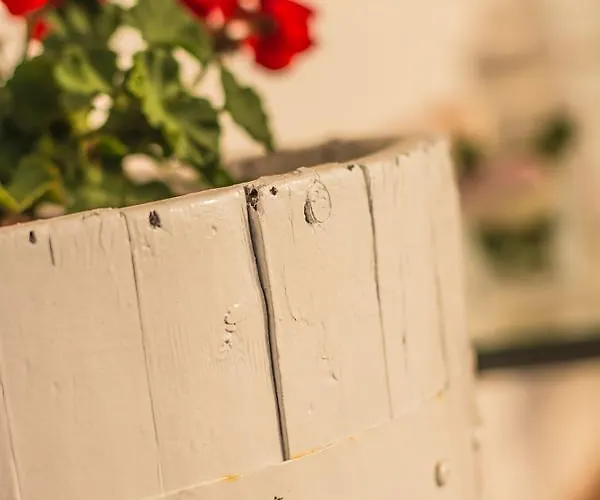 Miramurgia Bed & Breakfast